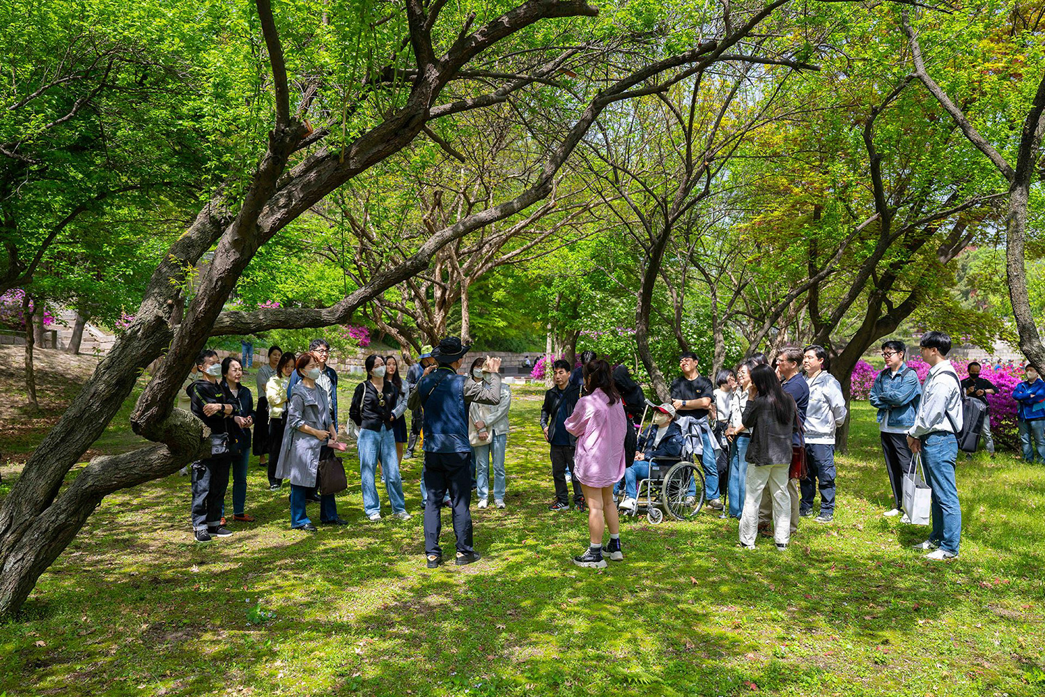 [쿠팡 이미지4] 장애인의 날을 앞둔 지난 18일, 쿠팡풀필먼트서비스 임직원들이 서울 종로구 창덕궁에서 숲 해설사의 이야기를 들으며 봄나들이를 했다