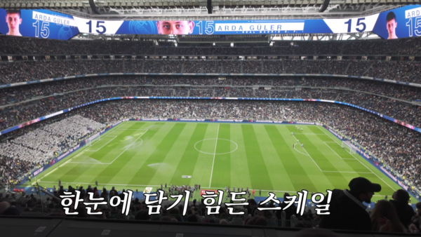 쿠팡플레이 추천작: 6월 3주 차