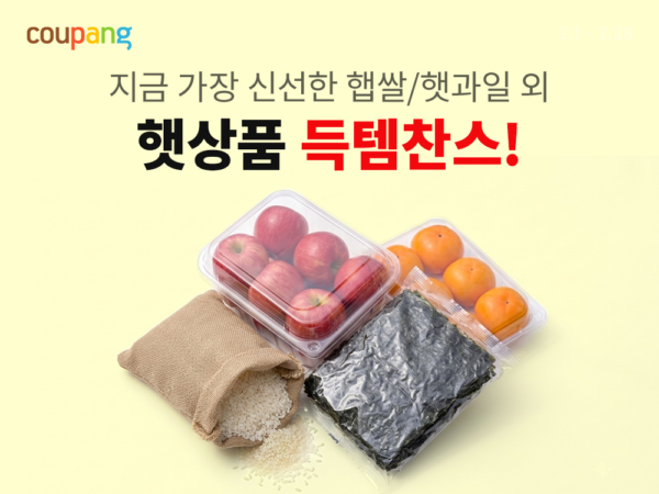 쿠팡-로켓프레시-햇상품-기획전-진행-261023-01